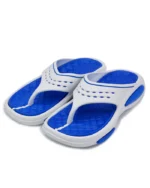 CH-1012-BLU